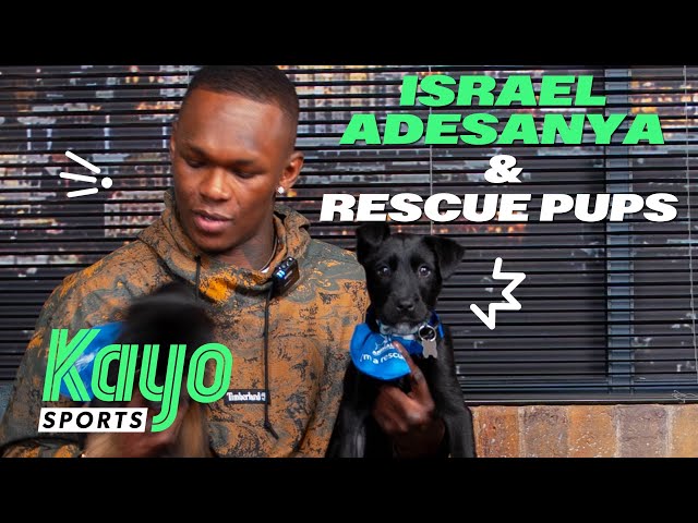 Is Israel Adesanyas Dog a Target in UFC Feuds? The Untold Story