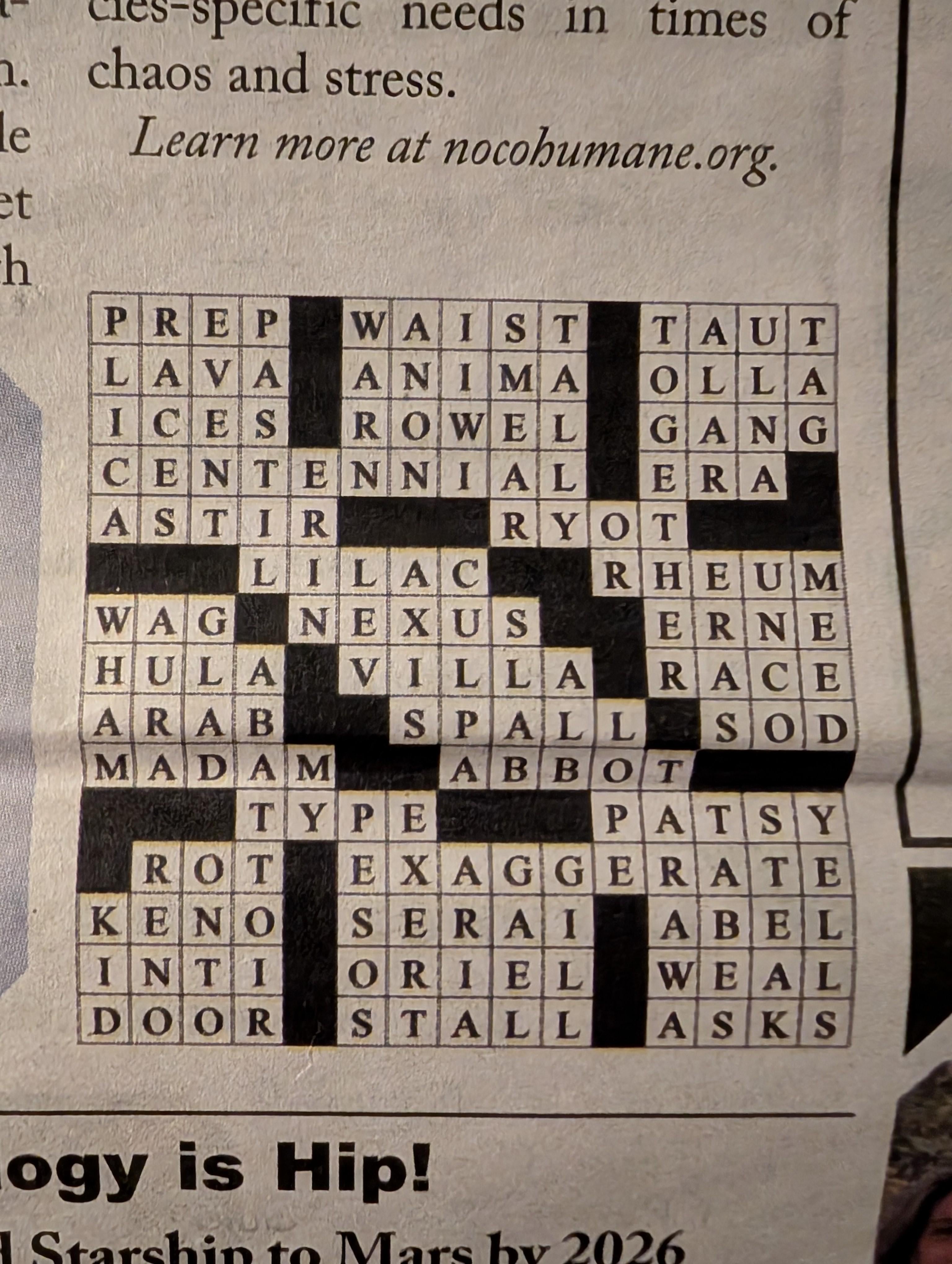 What Does Go Wild Mean in Crossword Puzzles? Find Out Here