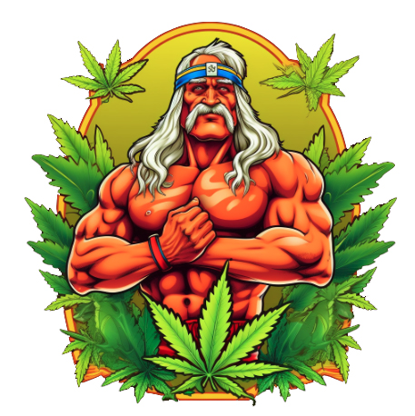 Hulk Hogan THC Brand: Exploring the Power of CBD and THC for Recovery