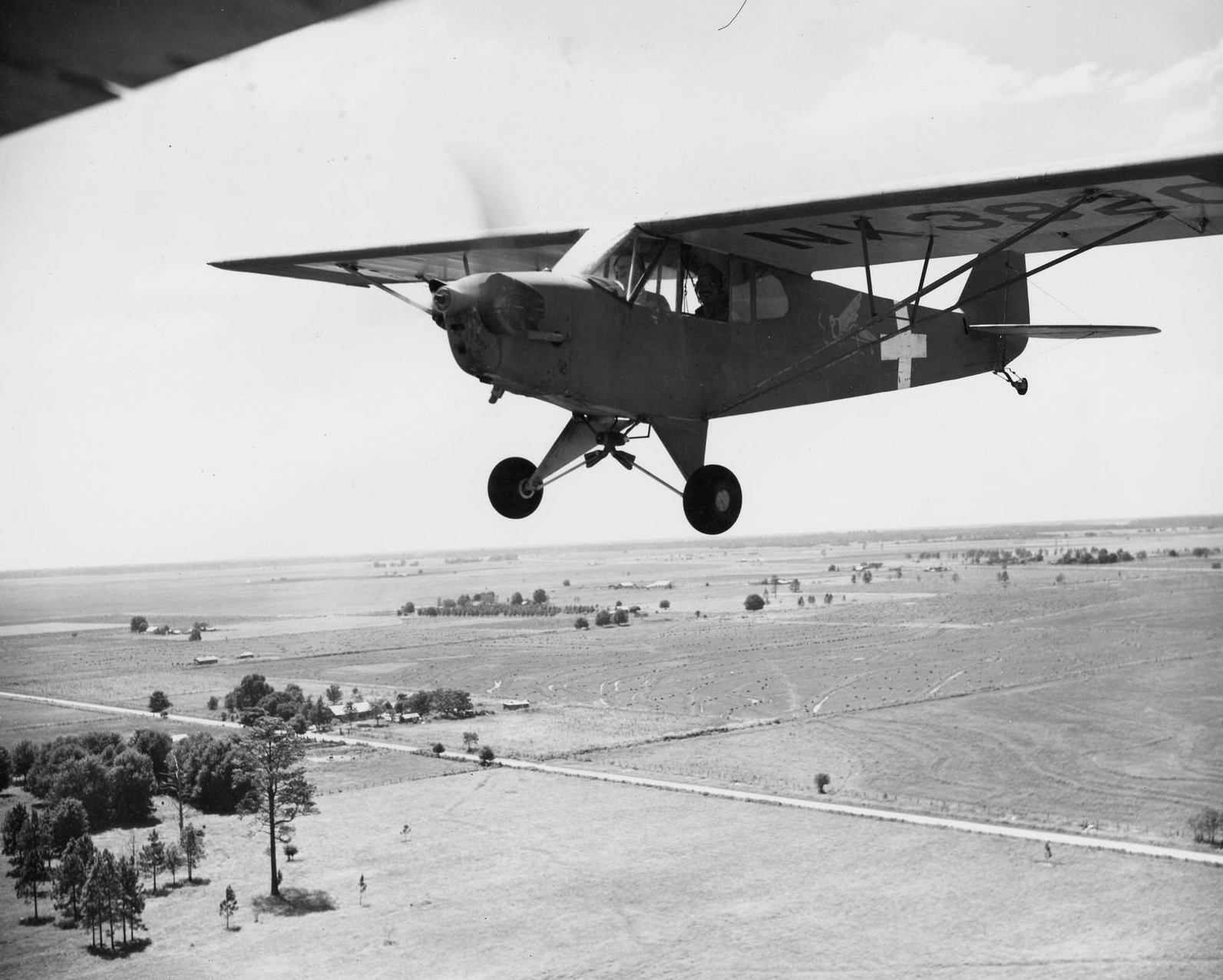 The Legacy of the L Bird: From WWII Hero to Aviation Icon