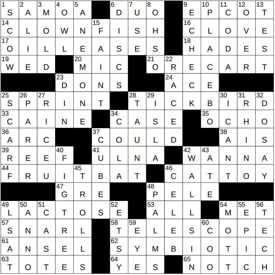 Solve the International Date Line NYT Crossword Clue – Complete Solution