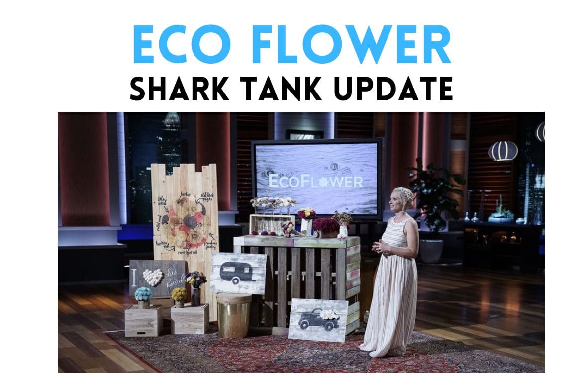 Eco Flower Net Worth 2024: What Happened After Shark Tank?