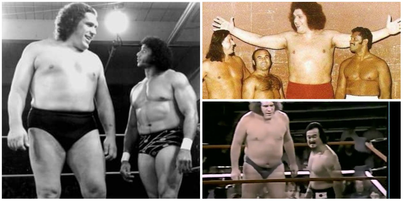 WWE Shortest Wrestlers: Who Are the Smallest Giants in the Ring?