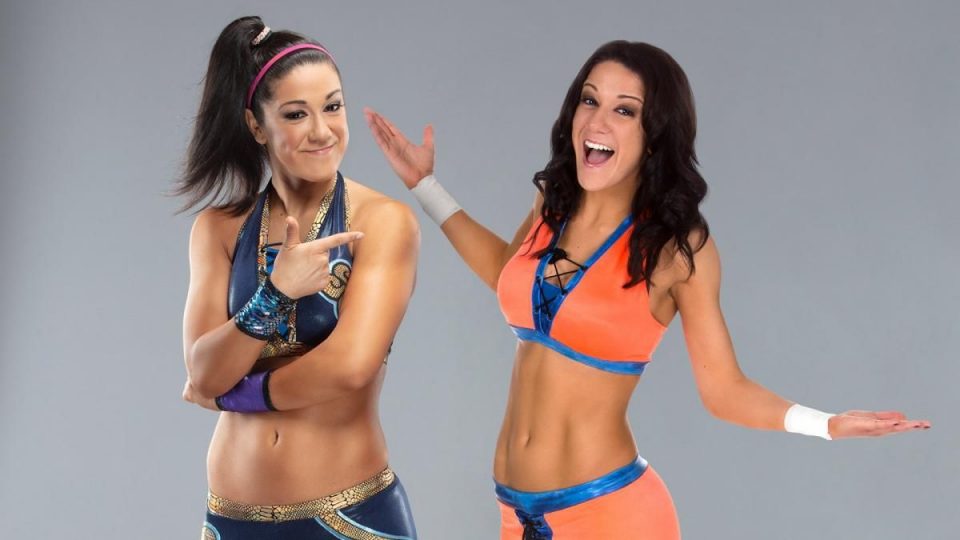 Surprising Facts About WWE Bayley and Her Sister You Didnt Know