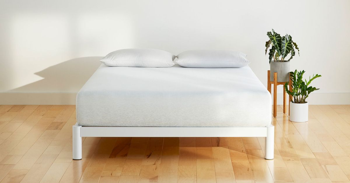 Clean Sleep Net Worth: How Rich is the Sleep Brand?