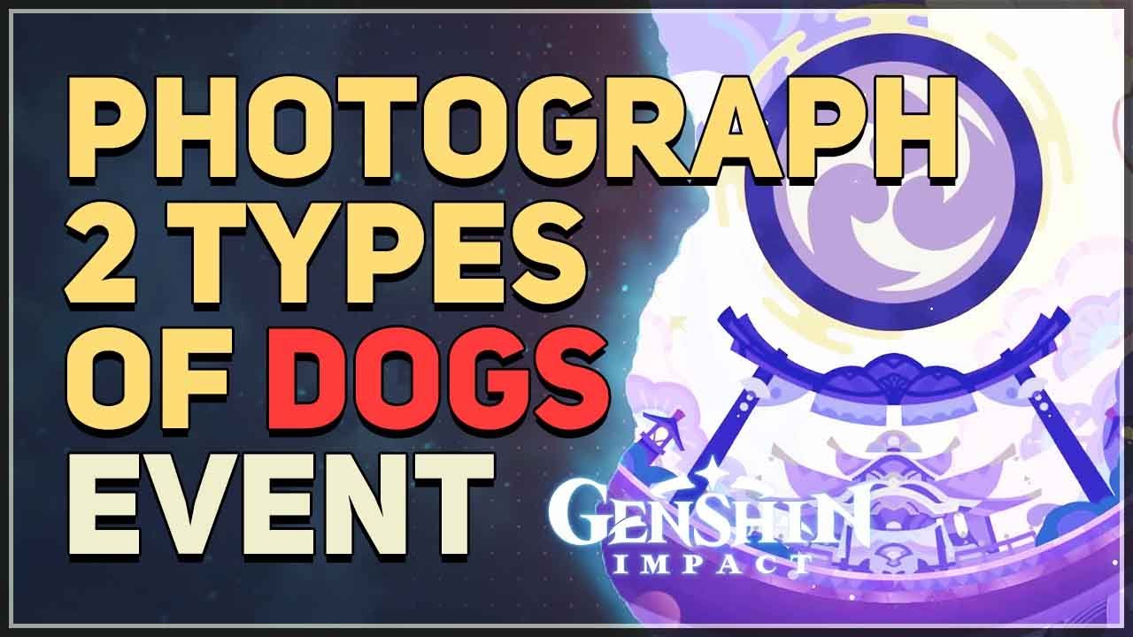 Snap Two Dogs in Genshin Impact: A Quick Guide for Photos of 2 Types of Dogs