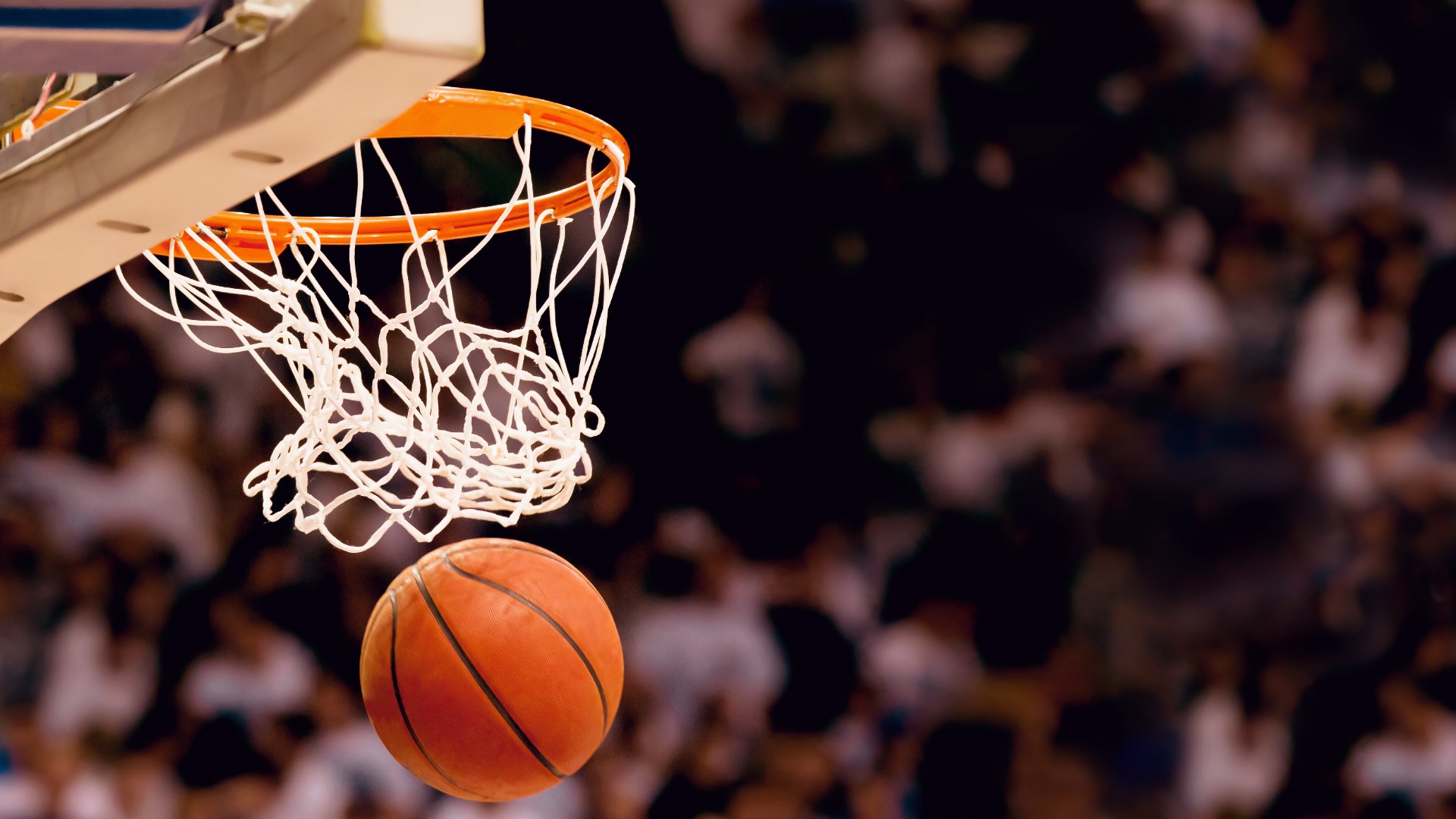 What Are Stocks in Basketball? Easy Explanation for New Fans!