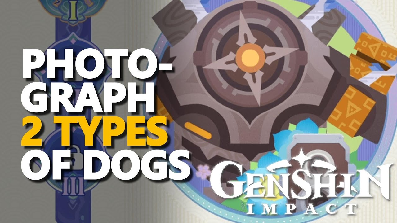 Snap Two Dogs in Genshin Impact: A Quick Guide for Photos of 2 Types of Dogs