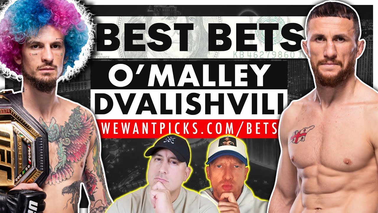 Merab Dvalishvili or Al Iaquinta: Best Bets? (Heres a Simple Betting Guide)