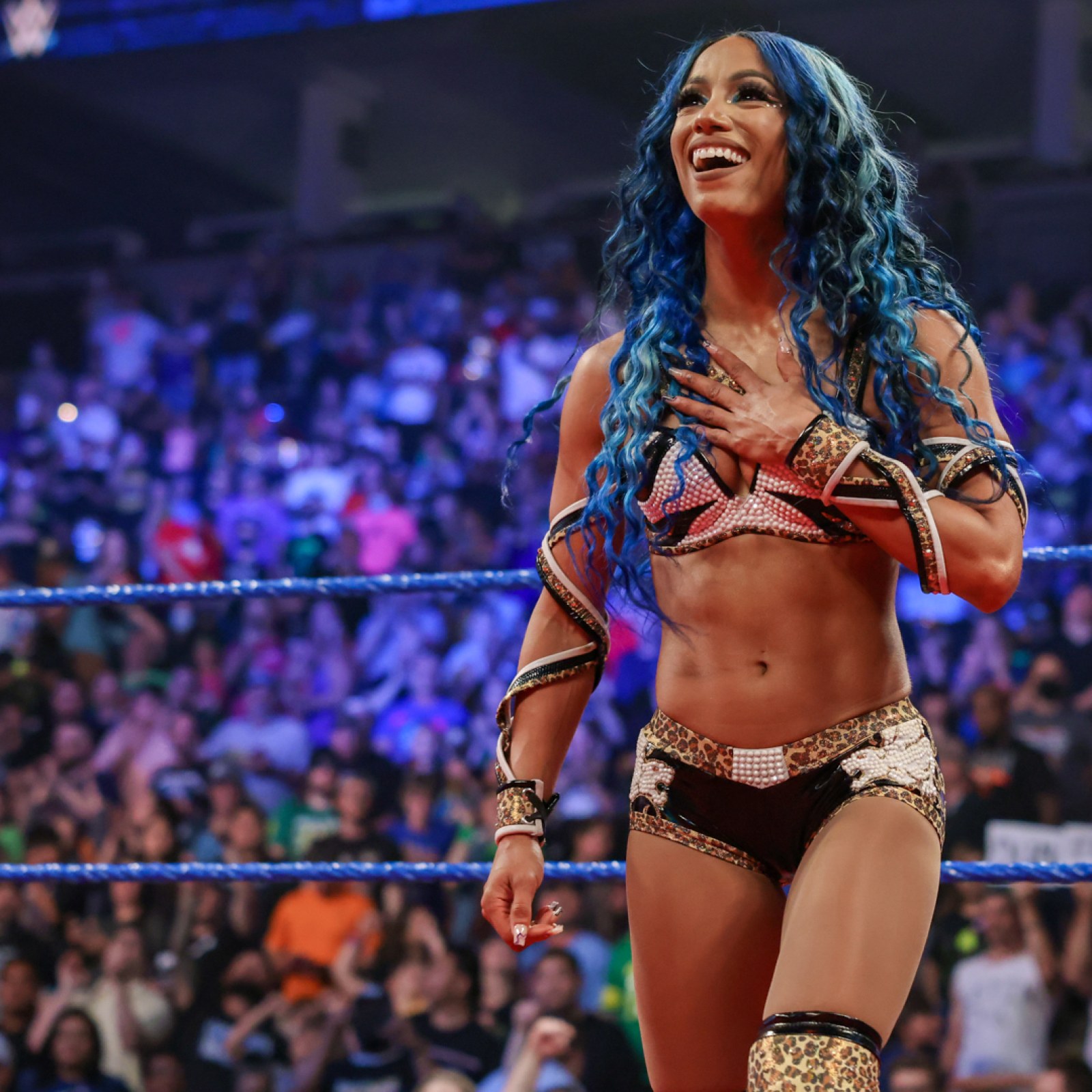 Why Did Sasha Banks Leave WWE? Heres What We Know So Far