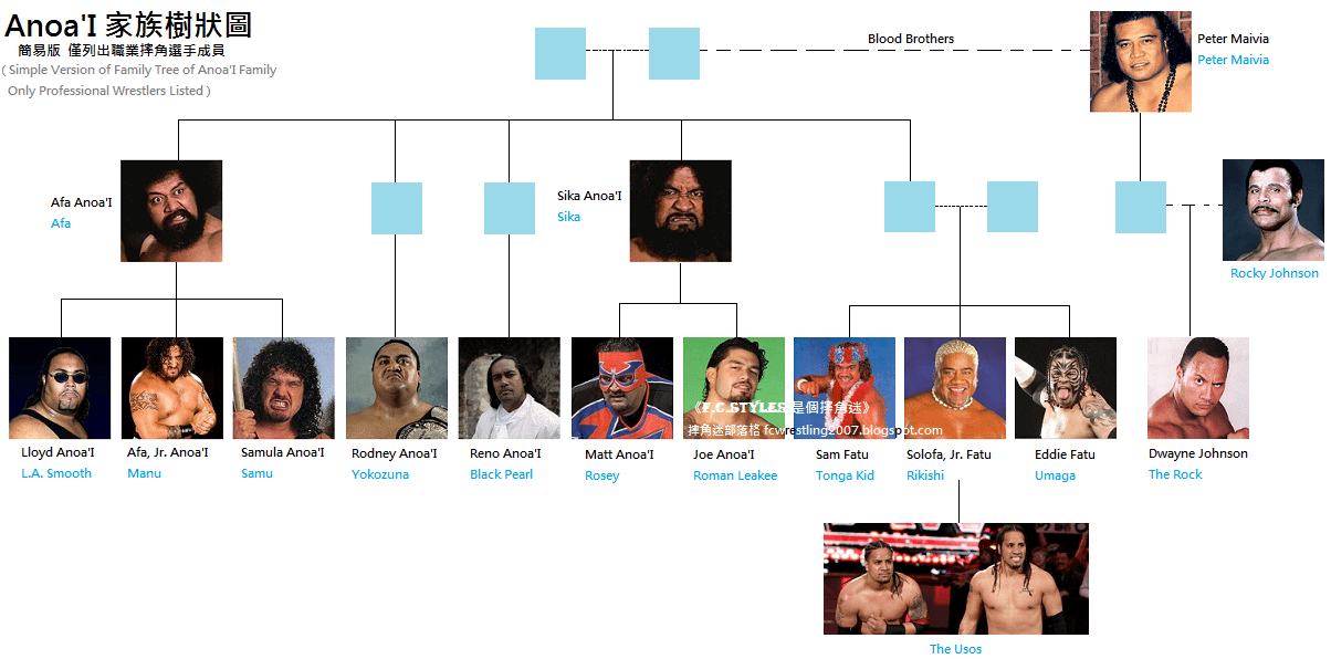 Roman Reigns Family Tree: Meet the Famous Wrestlers and Relatives in His Big Family