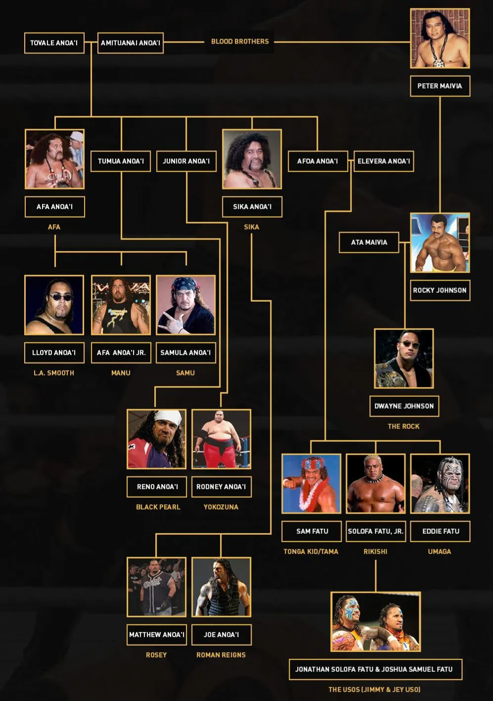 Samoa Family Tree WWE: See All the Wrestling Superstars Related to the Anoai Family!