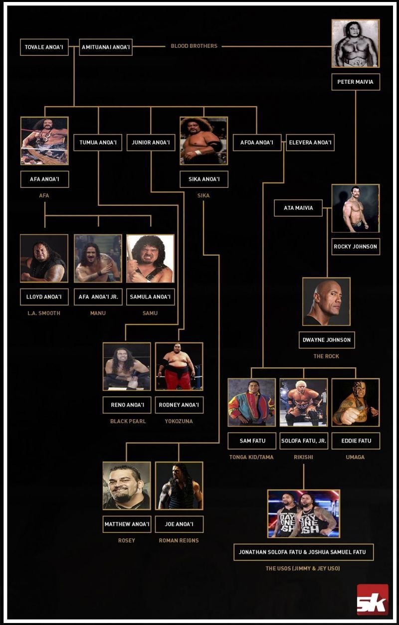 Samoa Family Tree WWE: See All the Wrestling Superstars Related to the Anoai Family!