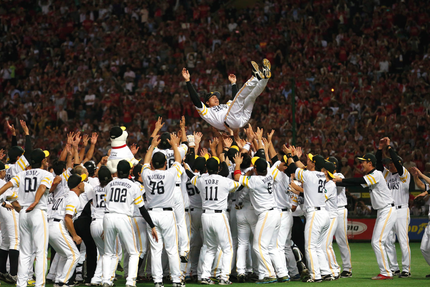 Fukuoka Hawks history: Learn about the teams legacy and the championships!