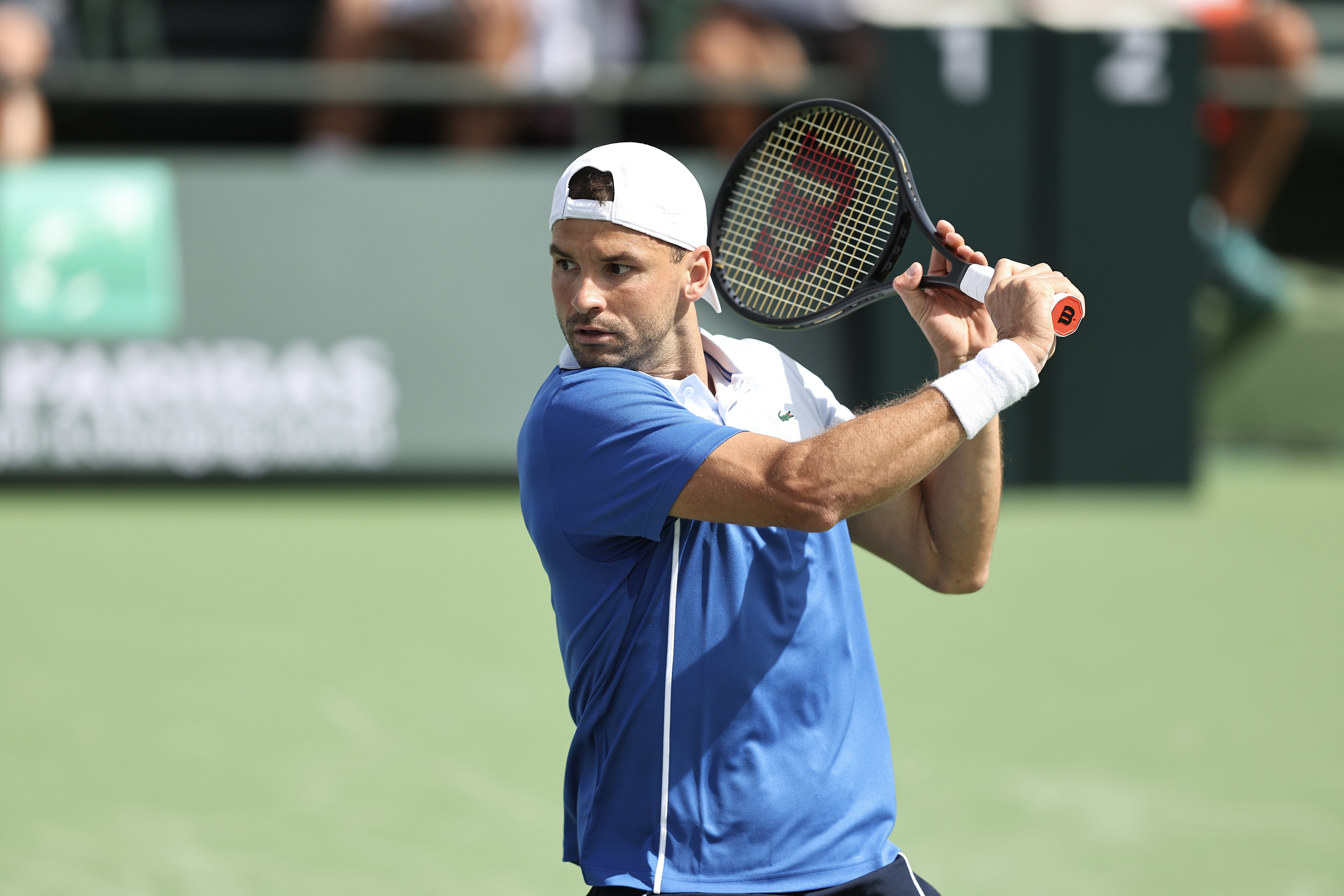 Dimitrov vs Medvedev Prediction: Whos the Favorite? Easy Guide to Betting!