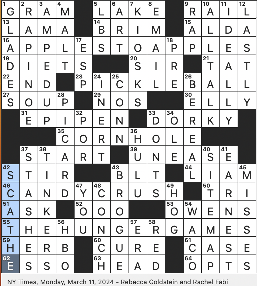 Solve the NYT Crossword: Washington NBA Team Guide.