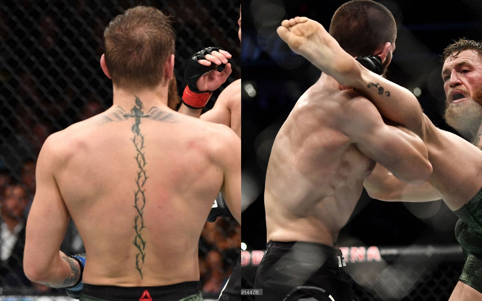 All Mcgregor Tattoos Explained! The Ultimate Guide 2024.